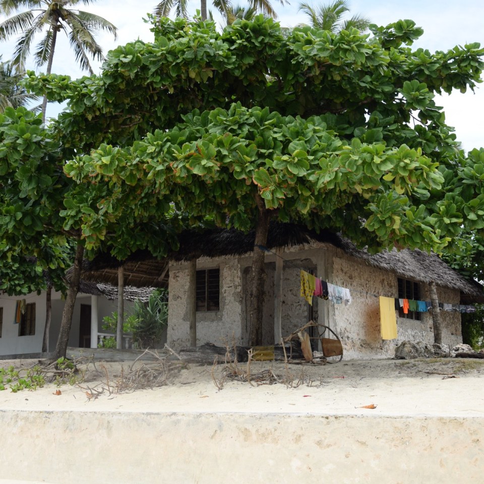 Standhaus auf Sansibar